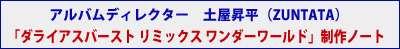 「ダライアスバースト リミックス ワンダーワールド」アルバムディレクター土屋昇平による制作ノート